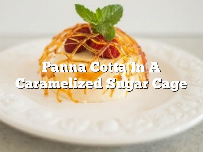 Panna Cotta In A Caramelized Sugar Cage