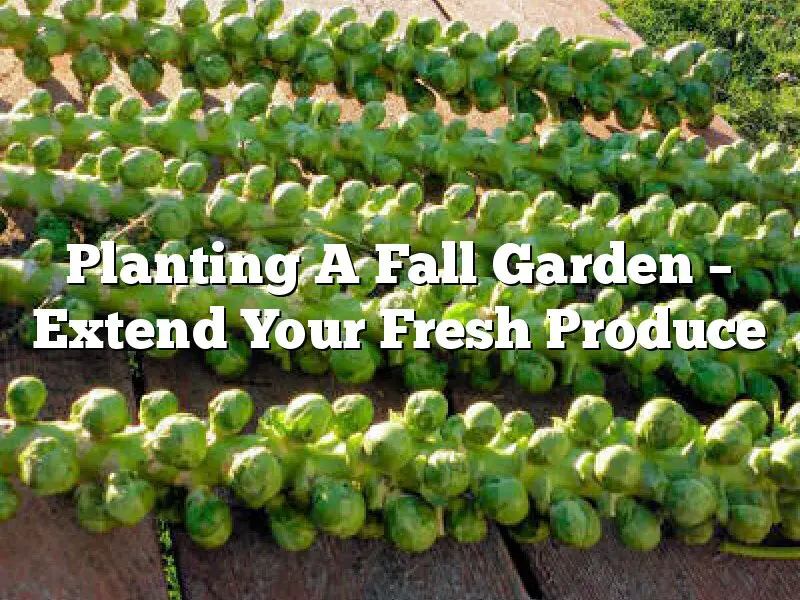 Planting A Fall Garden – Extend Your Fresh Produce