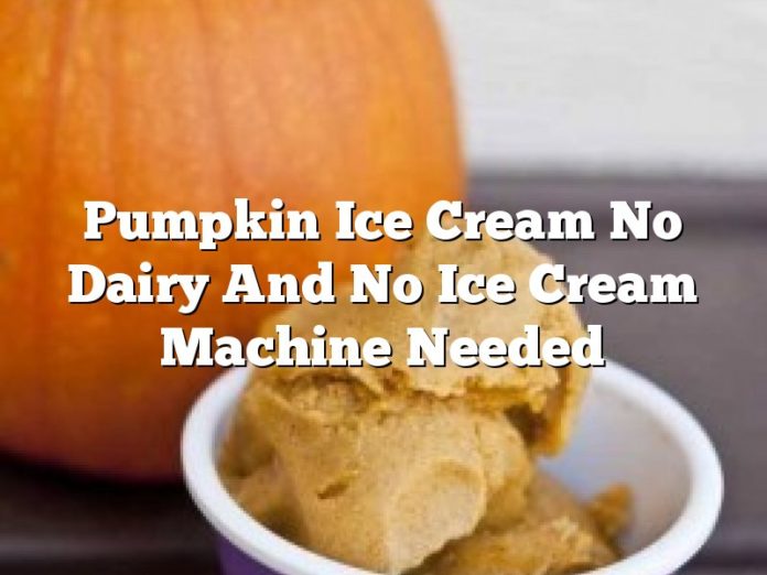 Pumpkin Ice Cream No Dairy And No Ice Cream Machine Needed