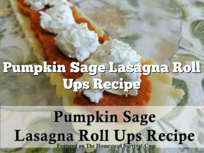 Pumpkin Sage Lasagna Roll Ups Recipe