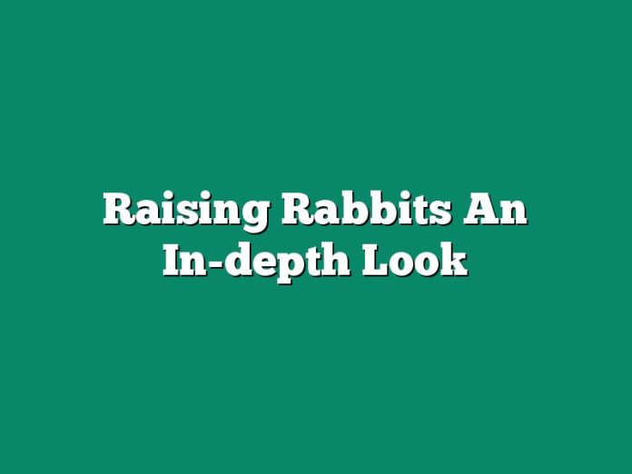 Raising Rabbits An In-depth Look