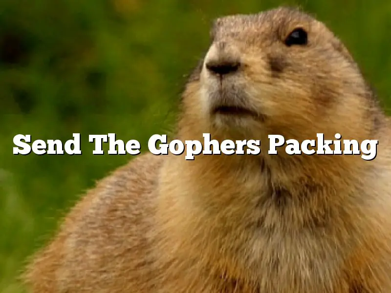 Send The Gophers Packing