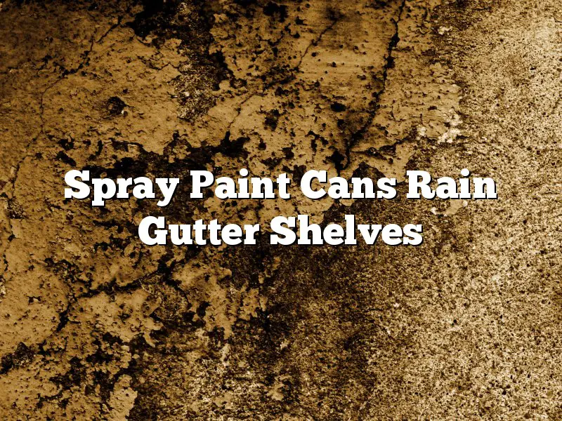 Spray Paint Cans Rain Gutter Shelves