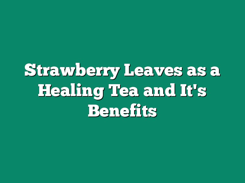 Strawberry Leaves as a Healing Tea and It's Benefits