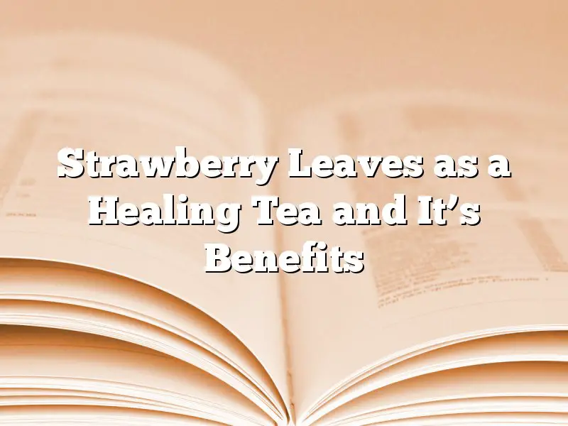 Strawberry Leaves as a Healing Tea and It’s Benefits