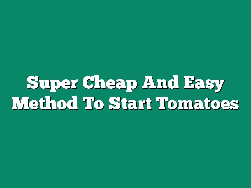 Super Cheap And Easy Method To Start Tomatoes