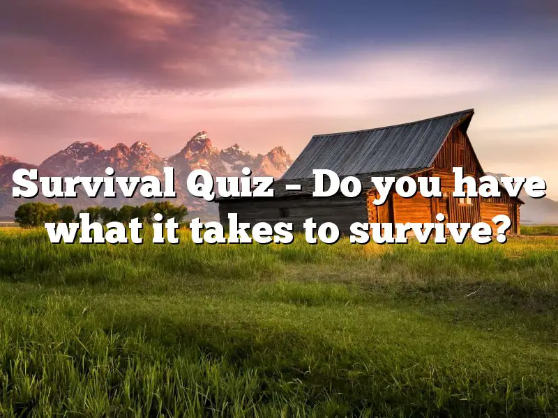 Survival Quiz – Do you have what it takes to survive?