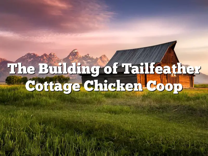The Building of Tailfeather Cottage Chicken Coop