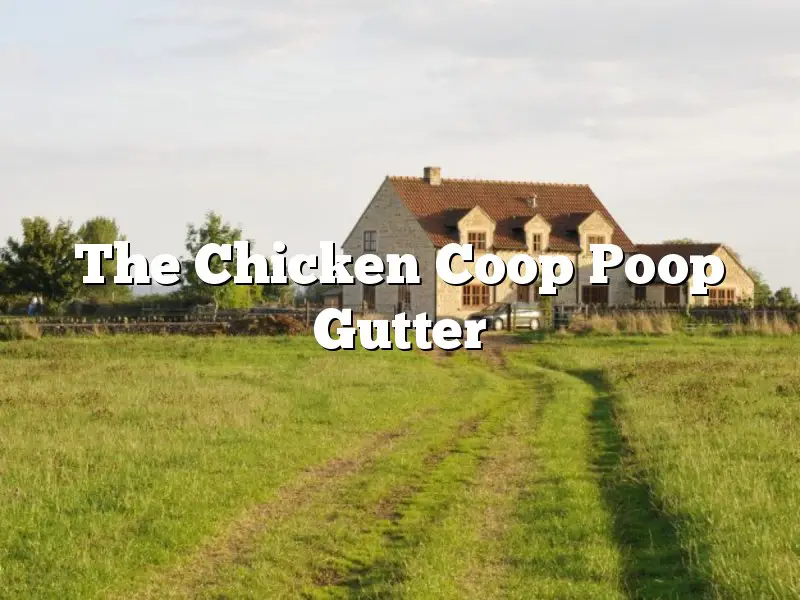 The Chicken Coop Poop Gutter