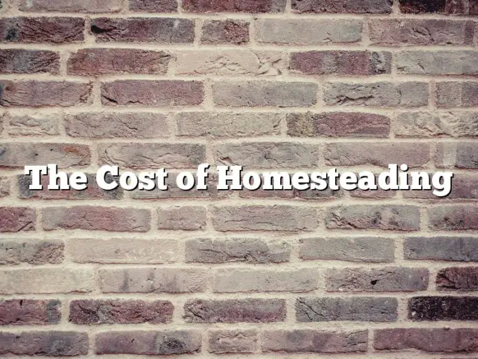 The Cost of Homesteading