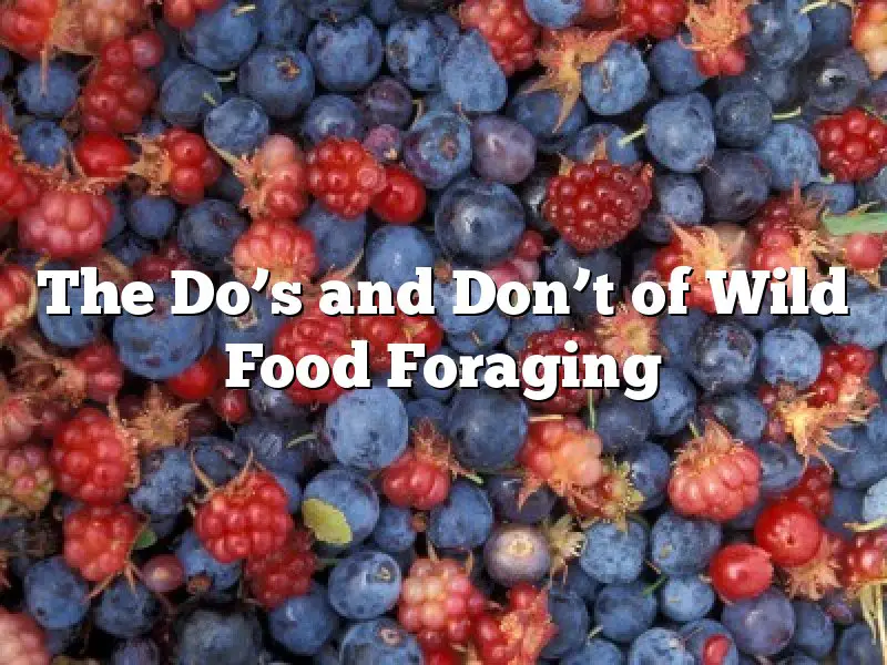 The Do’s and Don’t of Wild Food Foraging