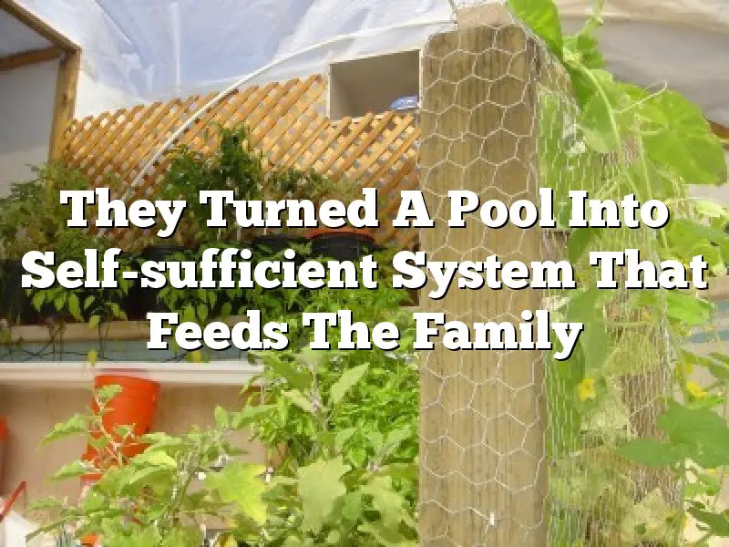 They Turned A Pool Into Self-sufficient System That Feeds The Family