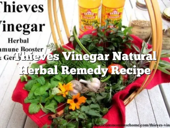 Thieves Vinegar Natural Herbal Remedy Recipe