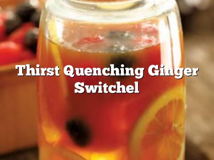Thirst Quenching Ginger Switchel