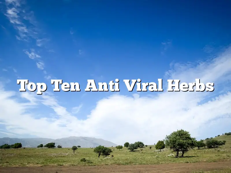 Top Ten Anti Viral Herbs