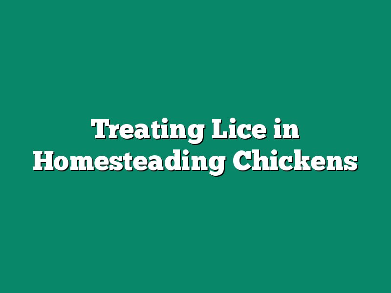 Treating Lice in Homesteading Chickens