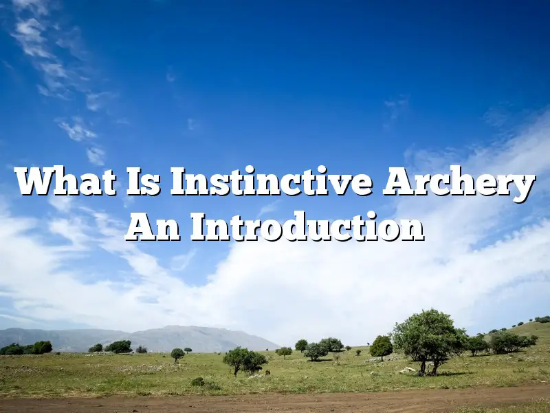 What Is Instinctive Archery An Introduction