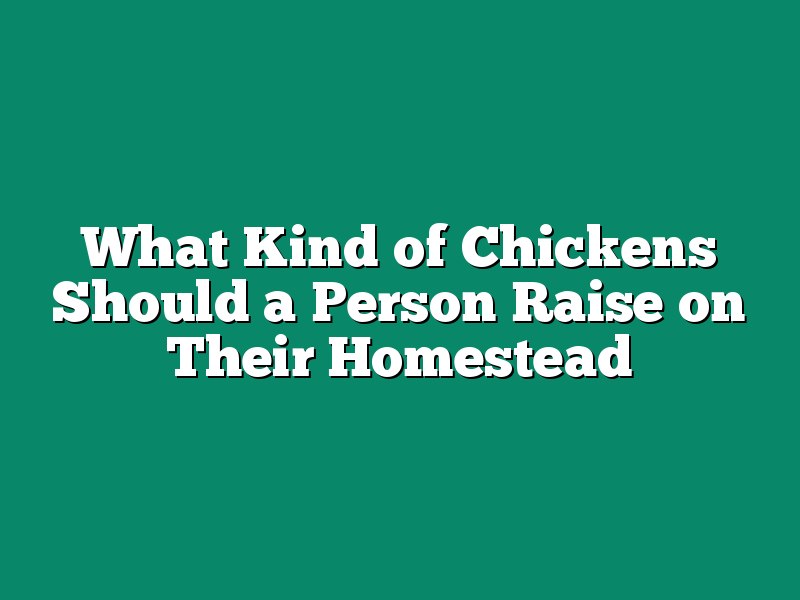 What Kind of Chickens Should a Person Raise on Their Homestead