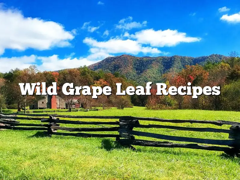 Wild Grape Leaf Recipes