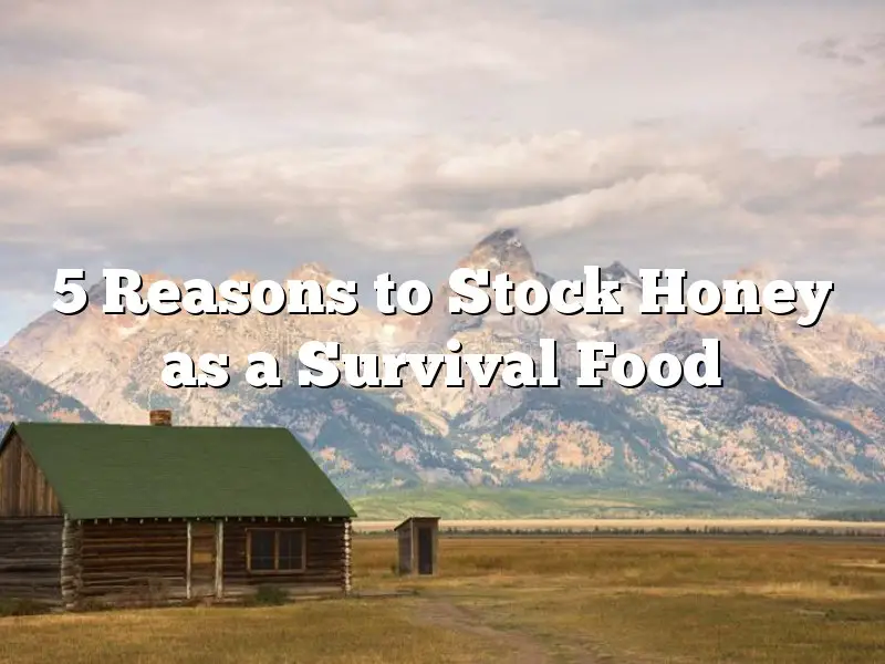 5 Reasons to Stock Honey as a Survival Food