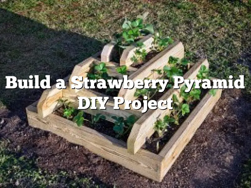 Build a Strawberry Pyramid DIY Project