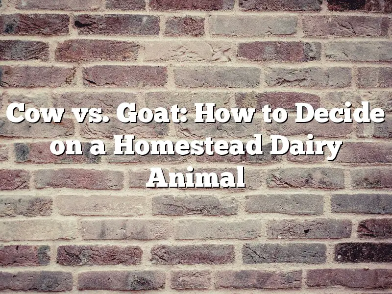 Cow vs. Goat: How to Decide on a Homestead Dairy Animal