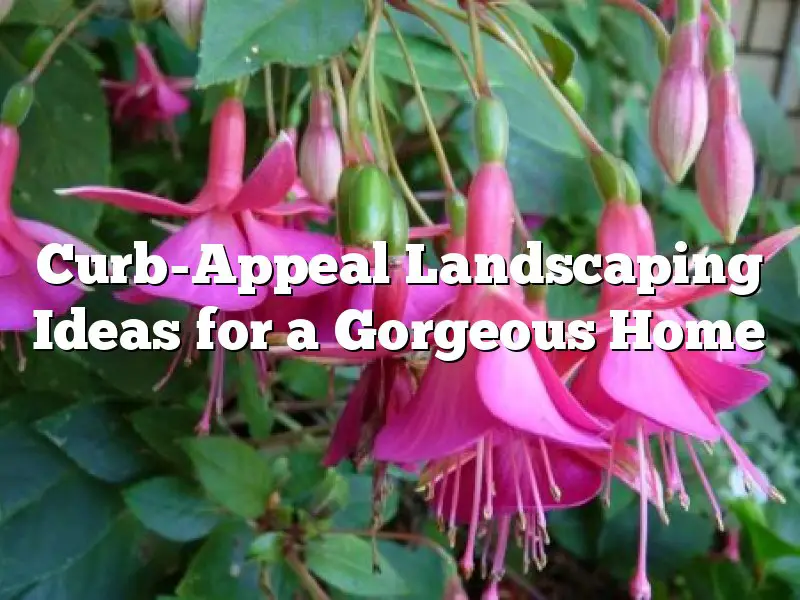 Curb-Appeal Landscaping Ideas for a Gorgeous Home