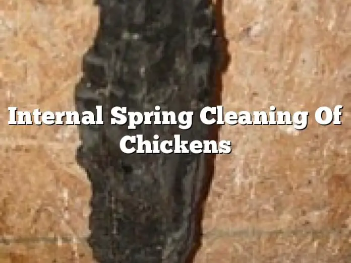 Internal Spring Cleaning Of Chickens