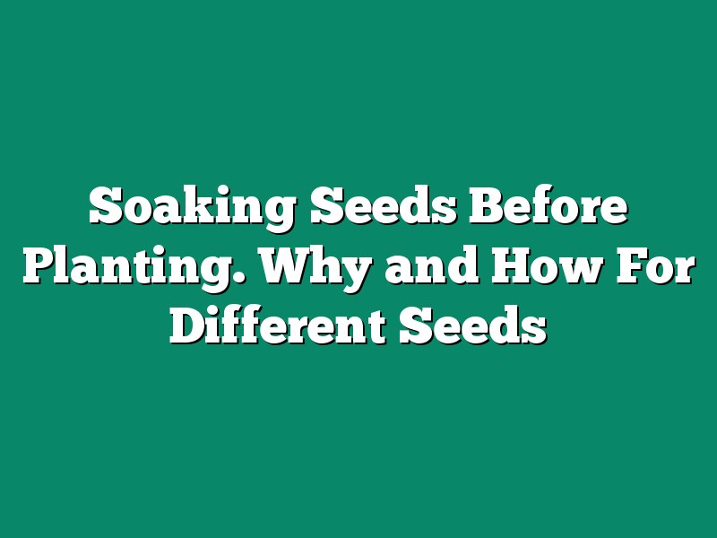 Soaking Seeds Before Planting. Why and How For Different Seeds