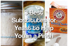 3 Best Substitutes for Yeast to Help You in a Pinch (1)