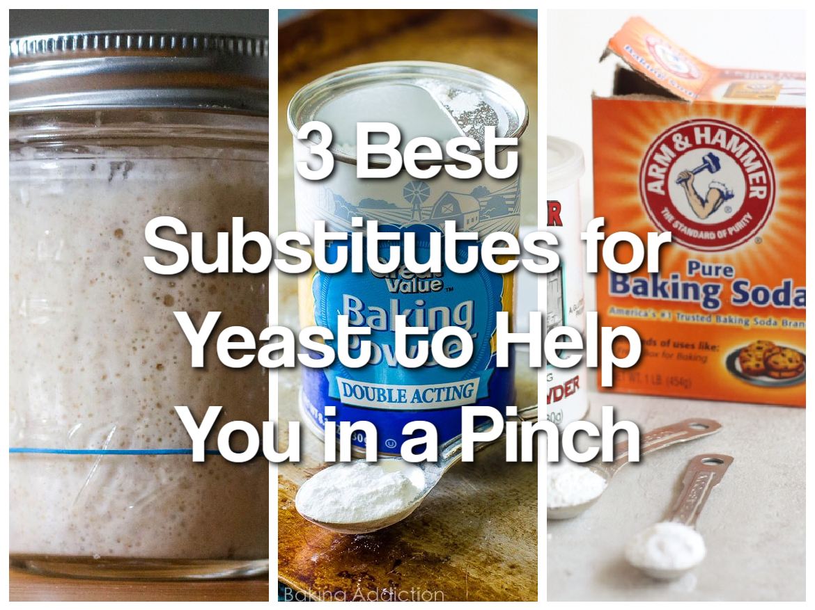 3 Best Substitutes for Yeast to Help You in a Pinch (1)
