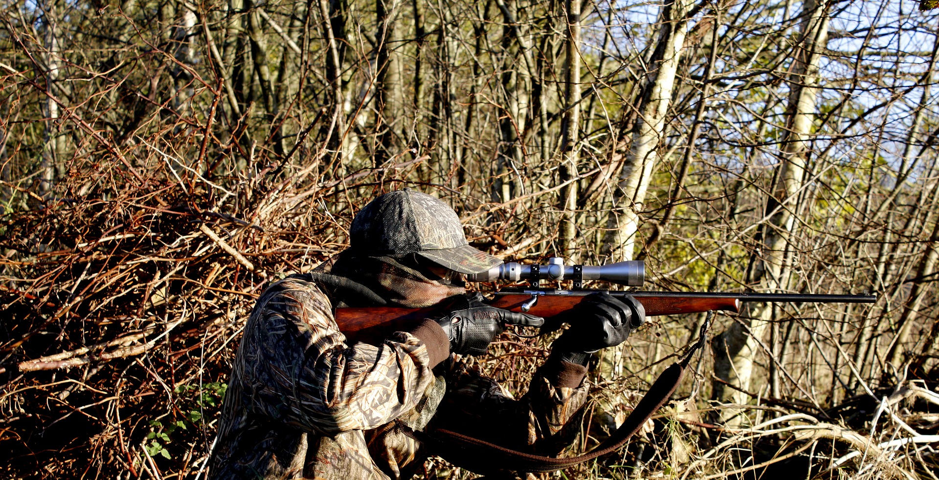 hunting and shooting