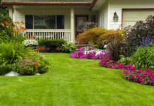 Protect Garden While Landscaping