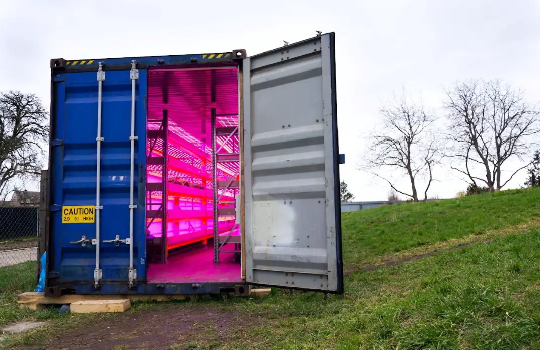 Shipping Containers As Greenhouses