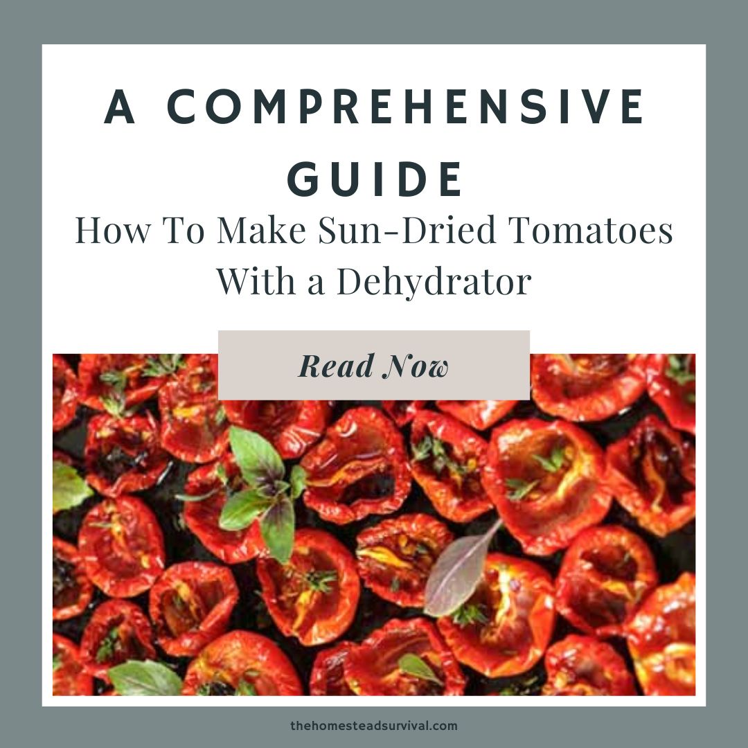 dry tomatoes